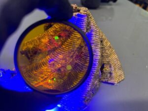 img14158_17437l-667x500-1-300x225 Rifugi stampati in 3D: la svolta per salvare le barriere coralline